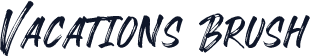 Vacations Brush