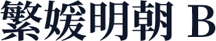 繁媛明朝 B