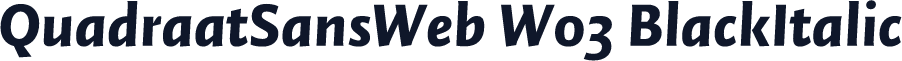 QuadraatSansWeb W03 BlackItalic