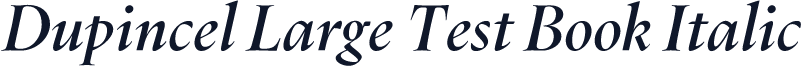 Dupincel Large Test Book Italic