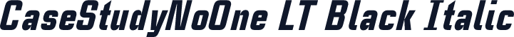 CaseStudyNoOne LT Black Italic