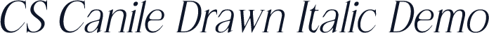 CS Canile Drawn Italic Demo
