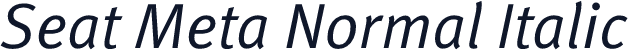 Seat Meta Normal Italic