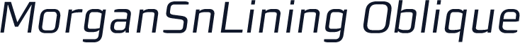 MorganSnLining Oblique