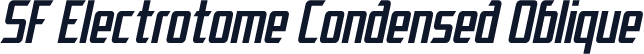 SF Electrotome Condensed Oblique