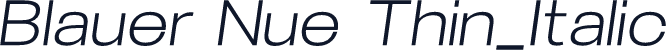 Blauer Nue Thin_Italic