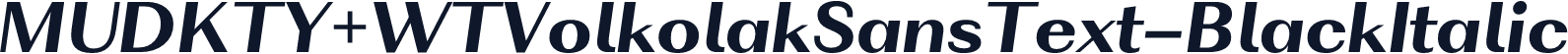 MUDKTY+WTVolkolakSansText-BlackItalic