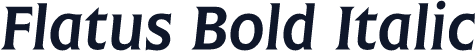 Flatus Bold Italic