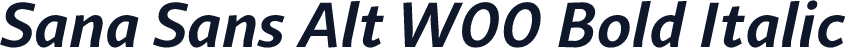 Sana Sans Alt W00 Bold Italic