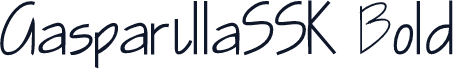 GasparillaSSK Bold