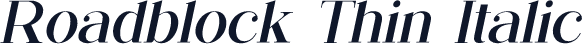 Roadblock Thin Italic