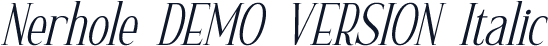 Nerhole DEMO VERSION Italic