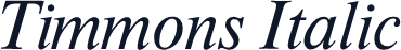 Timmons Italic