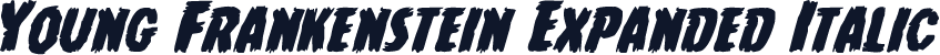 Young Frankenstein Expanded Italic