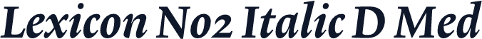 Lexicon No2 Italic D Med