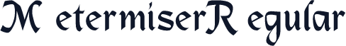 Metermiser Regular
