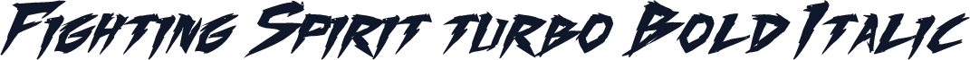 Fighting Spirit turbo Bold Italic