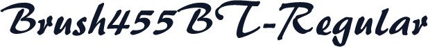Brush455BT-Regular