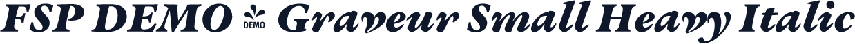 FSP DEMO - Graveur Small Heavy Italic