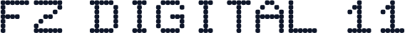FZ DIGITAL 11