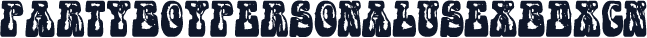 PARTYBOYPERSONALUSE-XBdXCn
