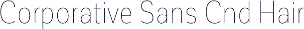 Corporative Sans Cnd Hair