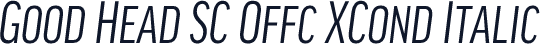 Good Head SC Offc XCond Italic