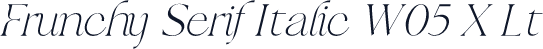 Frunchy Serif Italic W05 X Lt
