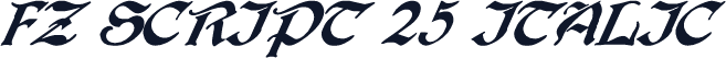 FZ SCRIPT 25 ITALIC
