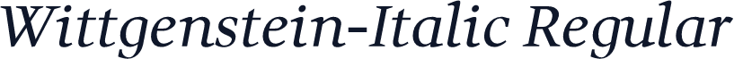 Wittgenstein-Italic Regular