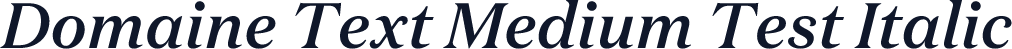 Domaine Text Medium Test Italic