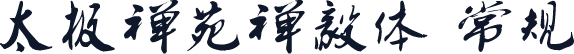 太极禅苑禅毅体 常规