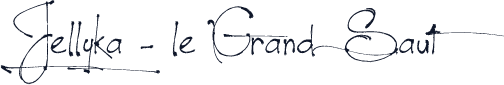Jellyka - le Grand Saut