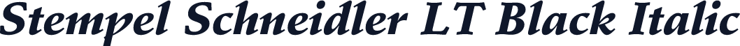 Stempel Schneidler LT Black Italic