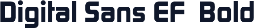 Digital Sans EF  Bold