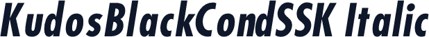 KudosBlackCondSSK Italic