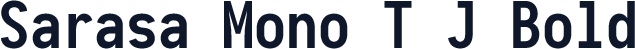 Sarasa Mono T J Bold