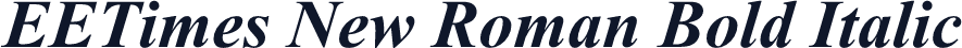 EETimes New Roman Bold Italic