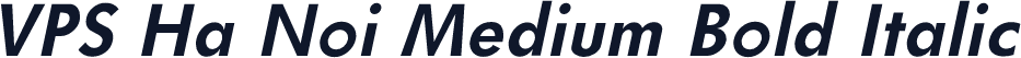 VPS Ha Noi Medium Bold Italic