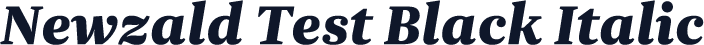 Newzald Test Black Italic