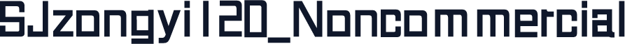 SJzongyi120_Noncommercial