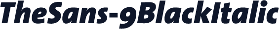 TheSans-9BlackItalic