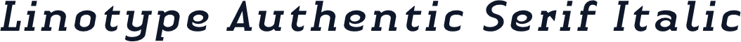 Linotype Authentic Serif Italic