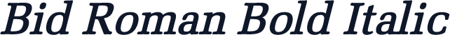 Bid Roman Bold Italic