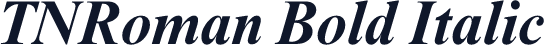 TNRoman Bold Italic