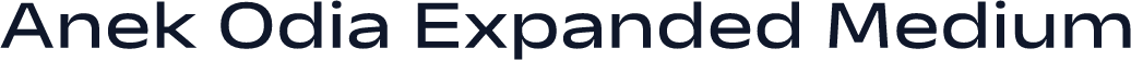 Anek Odia Expanded Medium