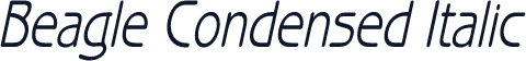 Beagle Condensed Italic