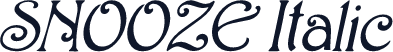 SNOOZE Italic
