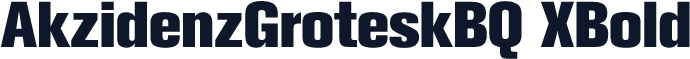 AkzidenzGroteskBQ XBold