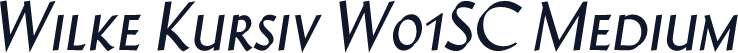 Wilke Kursiv W01SC Medium